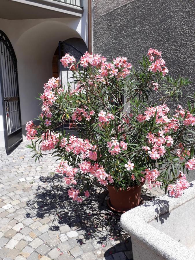 Aux Trois Soleils Bed & Breakfast Chexbres Dış mekan fotoğraf